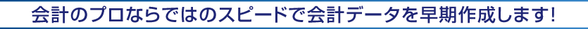 会計のプロならではのスピードで会計データを早期作成します！